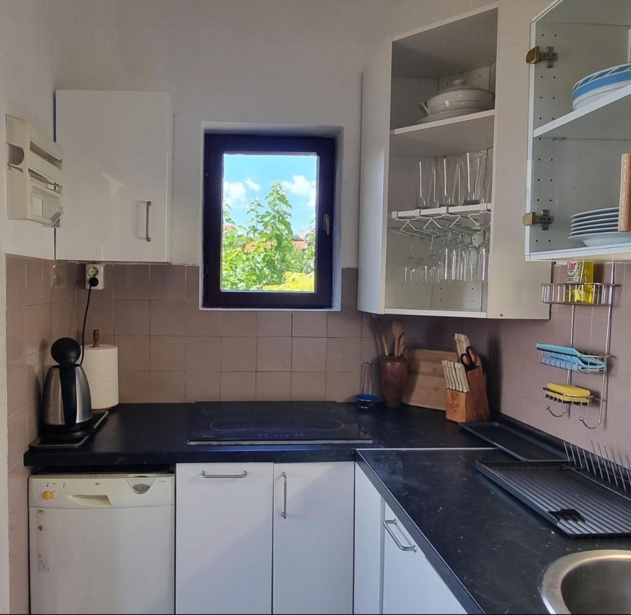 טרוגיר Villa Green מראה חיצוני תמונה
